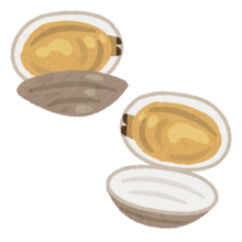 貝のイラスト