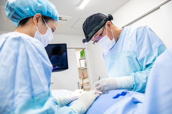 鼠径ヘルニア手術を行う医師と看護師