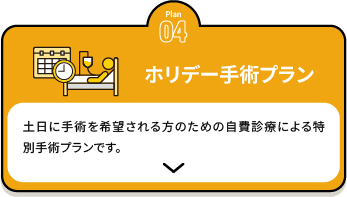 ホリデー手術プラン【保険外適用のため自費診療】